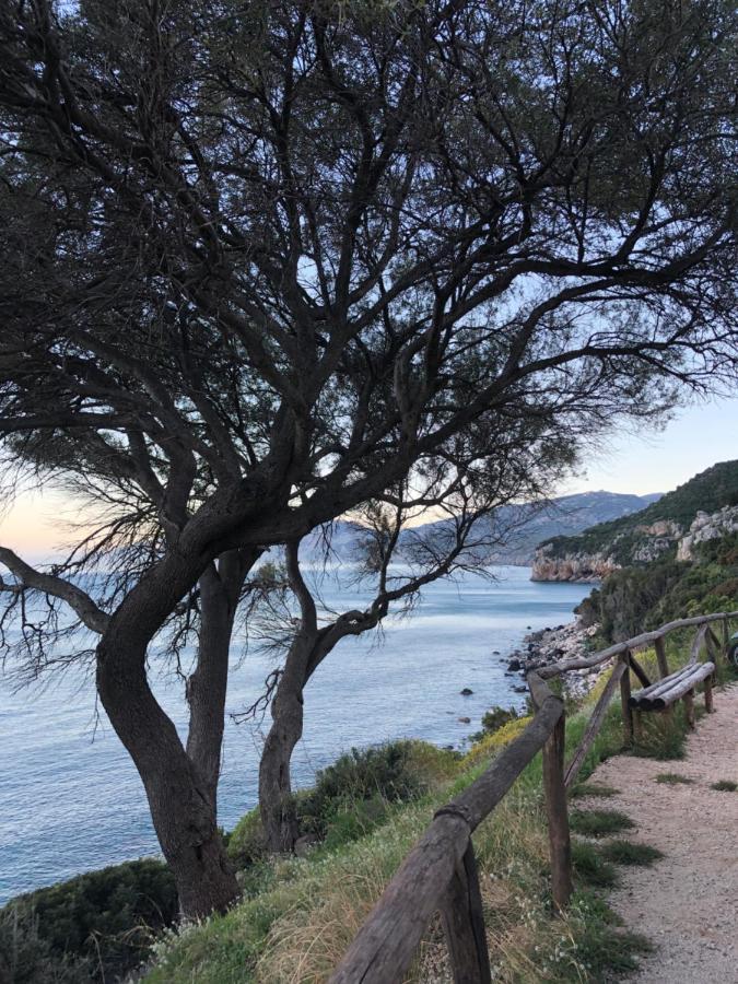 Апартаменты Cala Gonone, Casa I Pini Экстерьер фото