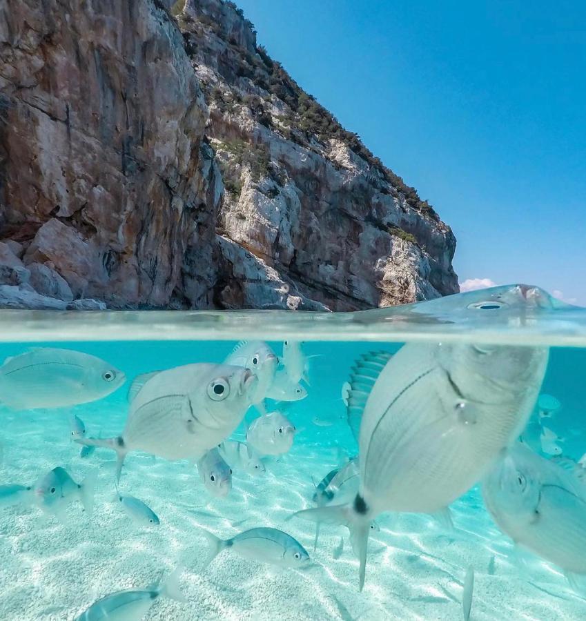 Апартаменты Cala Gonone, Casa I Pini Экстерьер фото