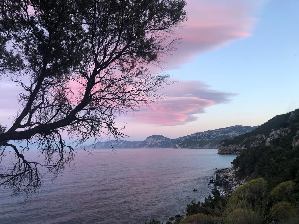 Апартаменты Cala Gonone, Casa I Pini Экстерьер фото